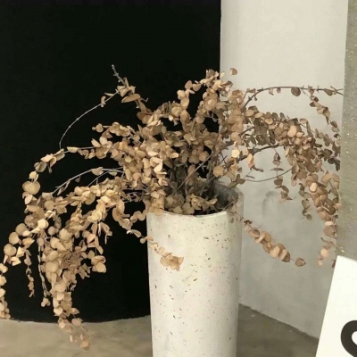 Furry插画故事感灵感兽圈群